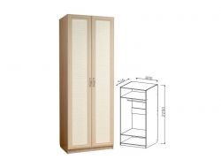 Шкаф 2-х дверный для платья Визит-16 VIP-3