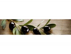 Кухонный фартук глянцевый AF-59